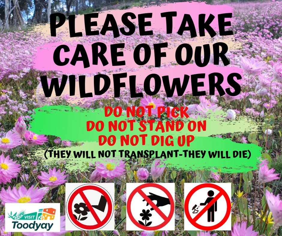 PLEASE-TAKE-CARE-OF-OUR-WILDFLOWERS.jpg