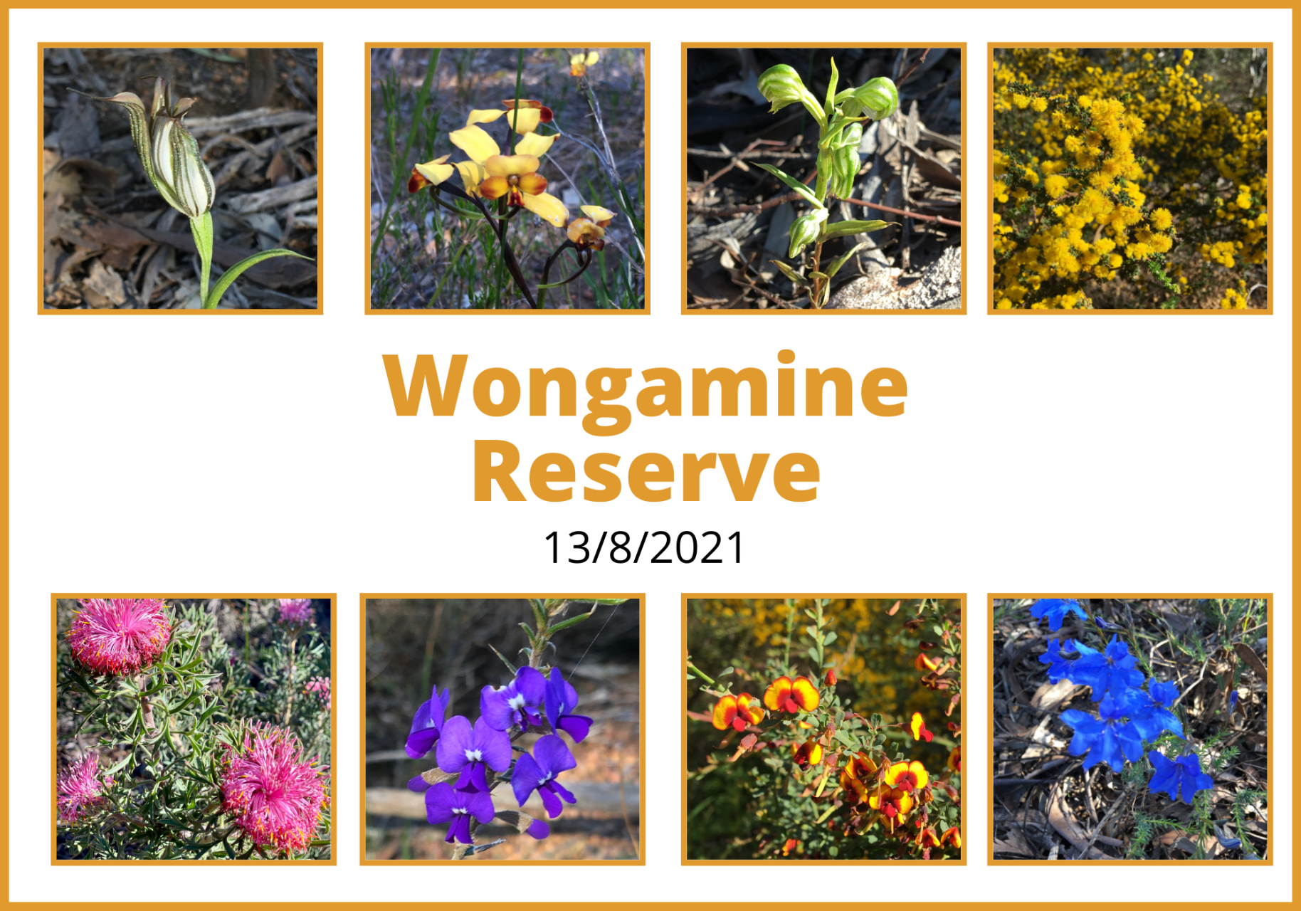 Wongamine Reserve Aug 21