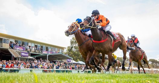 Toodyay Picnic Races