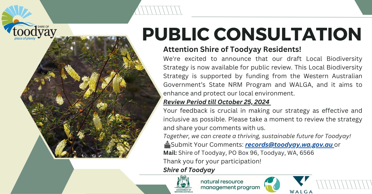 Public Consultation